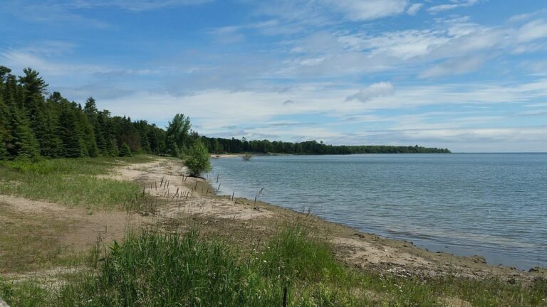 Door County Dog-Friendly Beaches